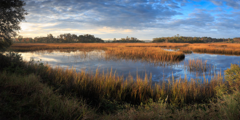 Back to the Marsh – Charles Opper Photography